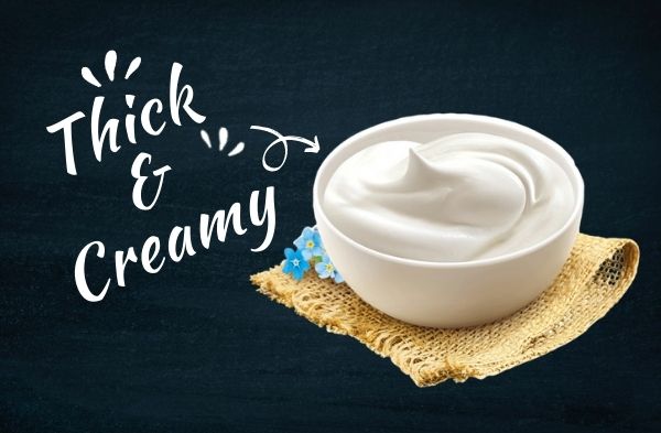 Home Made Indian Yogurt | Easy Recipes | Tales Of India – Tales of India
