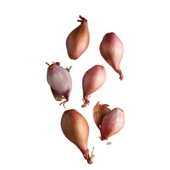 Onion Shallot (490 - 510g)