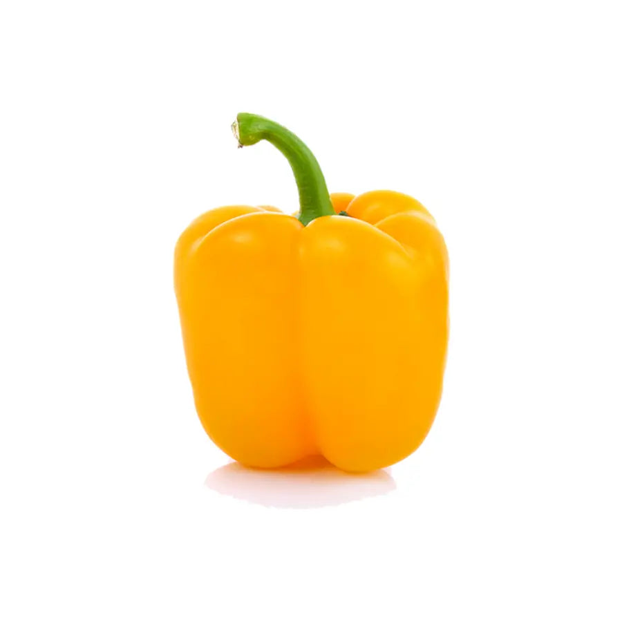 Capsicum Yellow QLD Each Fresh tales of india