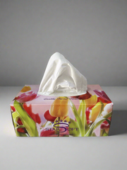Facial Tissue Pack - Star Soft