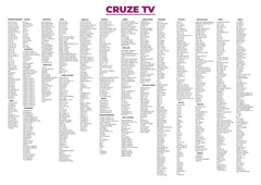 CruzeTV Hybrid 8K Indian Channel Setup Box (IPTV 2 years)