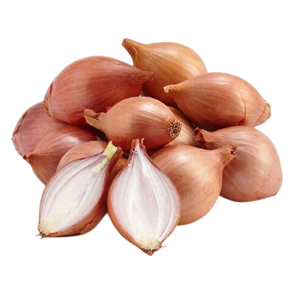 Onion Shallot (490 - 510g)