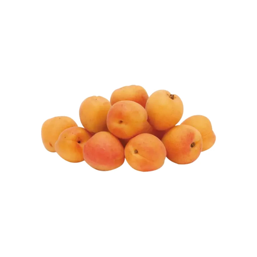 Apricots Medium Fresh