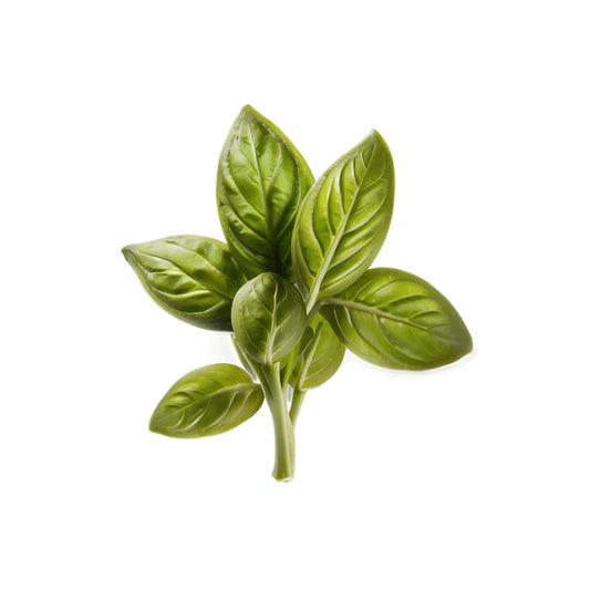 Basil Bunch Fresh