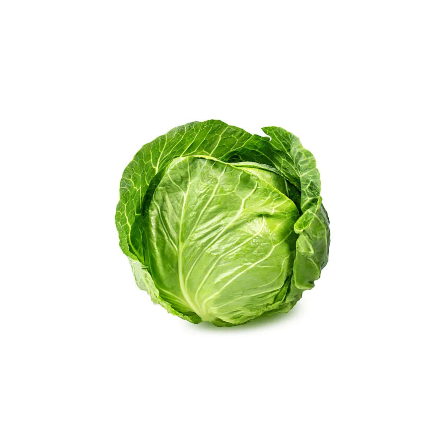 Cabbage