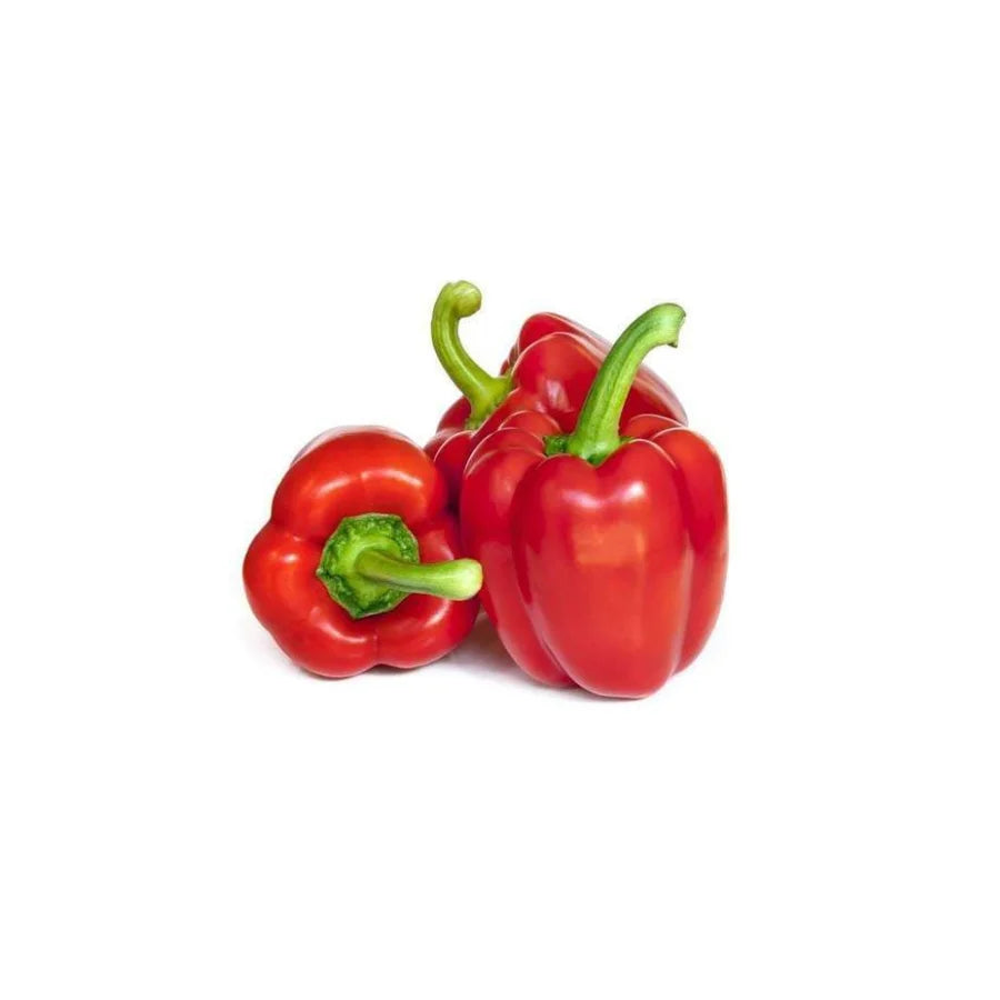 Capsicum Red 1kg Fresh