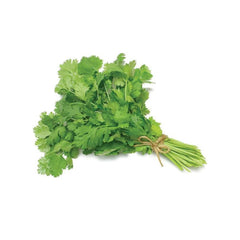 Coriander Each Bunch