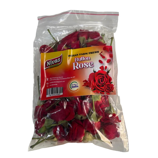Fresh button rose 