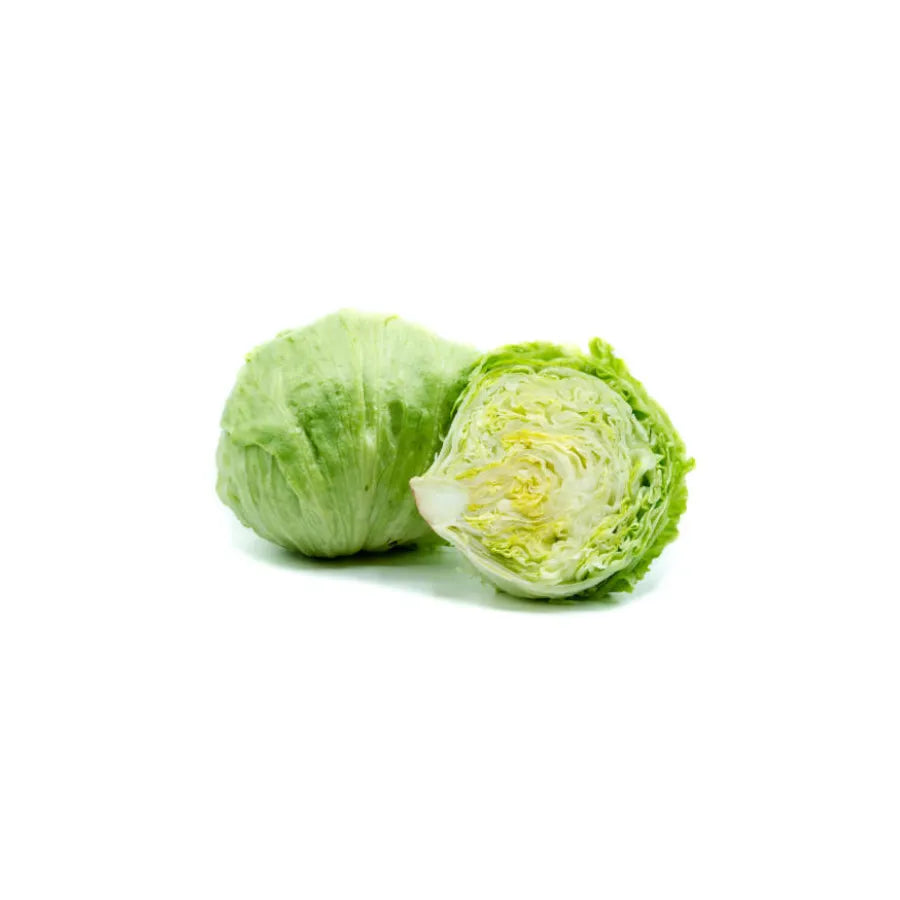 Iceberg lettuce