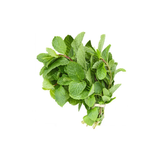 Mint Leaves Bunch Fresh