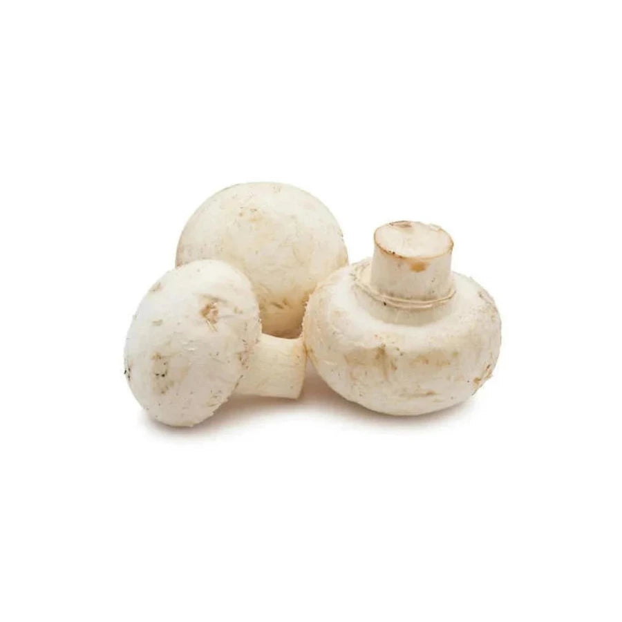 Mushroom Button 500g Bag Fresh