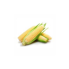 Sweet corn