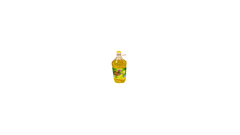 Vegetable Oil Miller