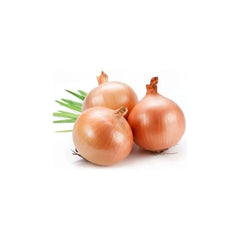 brown onion fresh