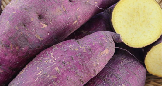 Purple Sweet Potato