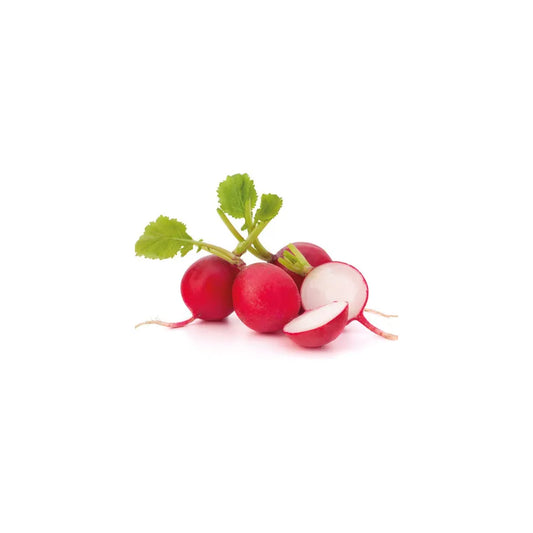 radish each fresh